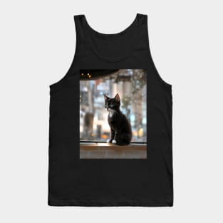 Cute kittens beautiful cats Tank Top